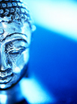 230px-Siddhartha_Gautama_Buddha_portrait.PNG